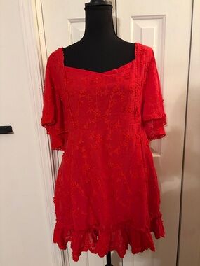 Showpo Red Embroidered Square-Neck Mini Dress